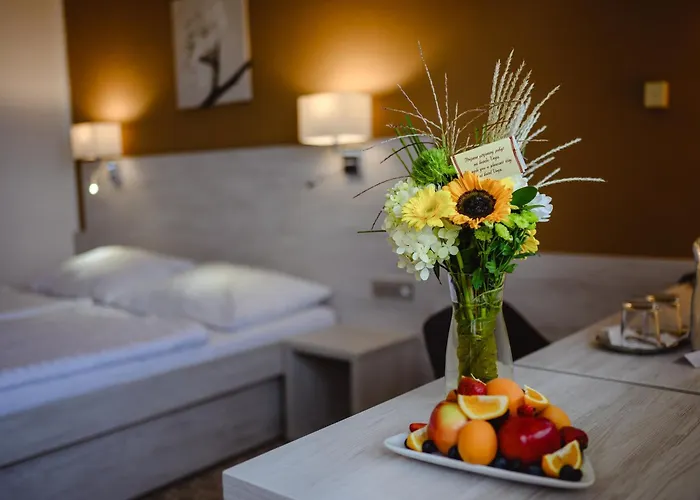 Vega Hotel Luhacovice